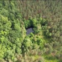 46.4 Acres in Choctaw County in Ackerman MS images 4