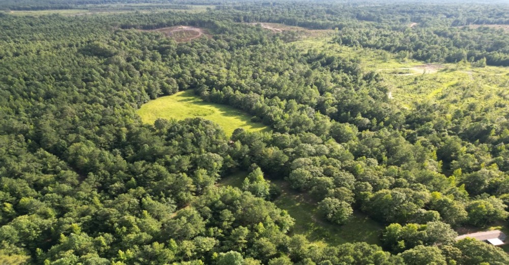 65 Acres in Neshoba County in Collinsville MS featured image