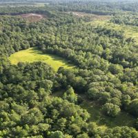65 Acres in Neshoba County in Collinsville MS