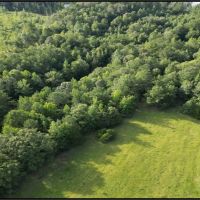65 Acres in Neshoba County in Collinsville MS images 2