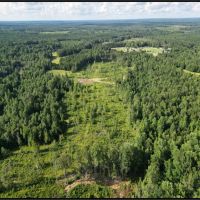 65 Acres in Neshoba County in Collinsville MS images 3
