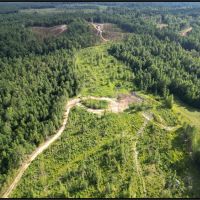 65 Acres in Neshoba County in Collinsville MS images 5