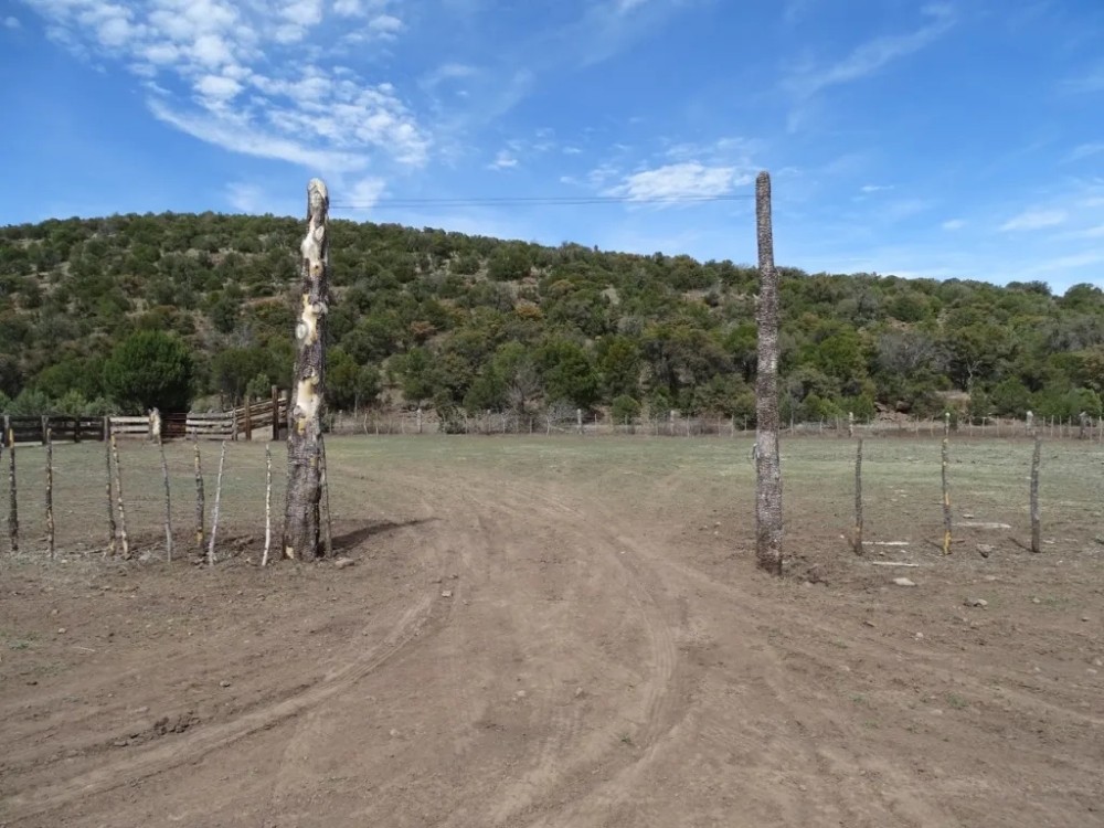 Blue Creek 160 with Allotment 5587 acres featured image