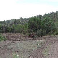 Blue Creek 160 with Allotment 5587 acres images 4