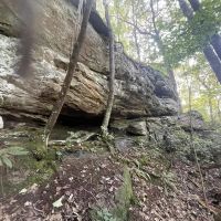 55 - Acres in Morgan County AL images 4