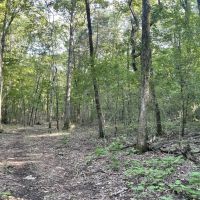 55 - Acres in Morgan County AL images 5