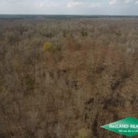 40 ac - Bottomland Hunting Tract