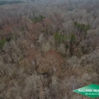 40 ac - Bottomland Hunting Tract images 2