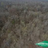 40 ac - Bottomland Hunting Tract images 3