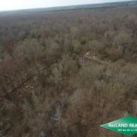 40 ac - Bottomland Hunting Tract images 4