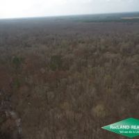 40 ac - Bottomland Hunting Tract images 5