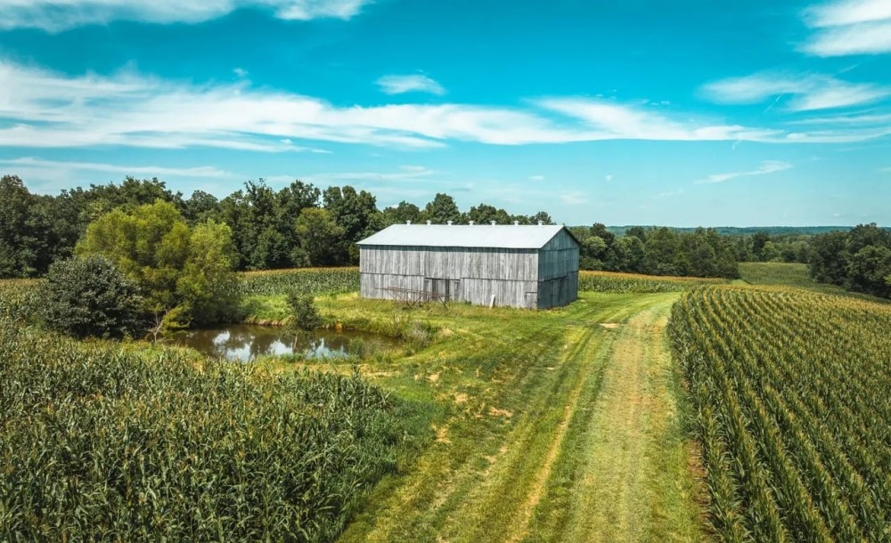 Phillips Farm 222 featured image