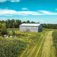 Phillips Farm 222