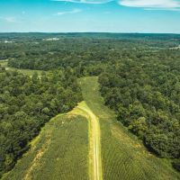 Phillips Farm 222 images 3