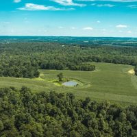 Phillips Farm 222 images 4
