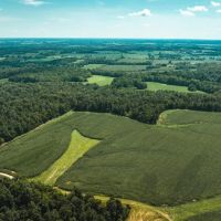 Phillips Farm 222 images 5