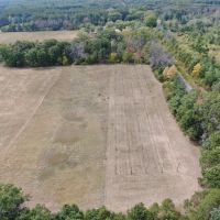 3 bed 1 bath Farmette on 9.75 acres Adams County WI images 3