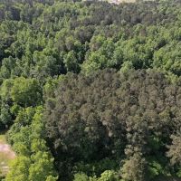5.03 Acres of Residential and Recreational Land For Sale in Robeson County NC images 5