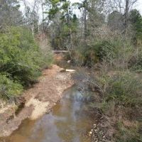 Wolf Creek Farm images 2