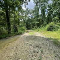 Little Texas images 2