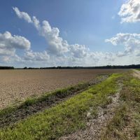 Little Texas images 4
