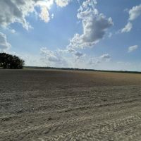 Little Texas images 5