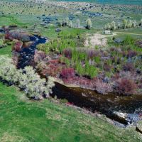 Popo Agie Meadows