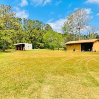 63 Wooded Acres with 2 Ponds and Home images 5