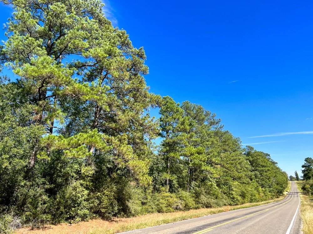 23 Acres FM 2989 featured image