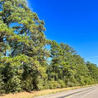 23 Acres FM 2989