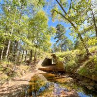 23 Acres FM 2989 images 2
