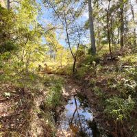 23 Acres FM 2989 images 4