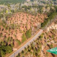 27.4 ac - Wooded Tract for Rural Home Site