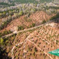 27.4 ac - Wooded Tract for Rural Home Site images 3