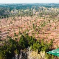 27.4 ac - Wooded Tract for Rural Home Site images 5