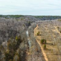 Paddy Creek Wilderness-Tract 3A