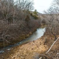 Paddy Creek Wilderness-Tract 3A images 4