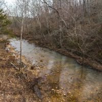 Paddy Creek Wilderness-Tract 3A images 5