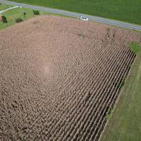 1 acre of Residential and Recreational Land For Sale in Robeson County NC images 3