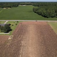 1 acre of Residential and Recreational Land For Sale in Robeson County NC images 4