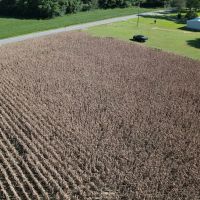 1 acre of Residential and Recreational Land For Sale in Robeson County NC images 5