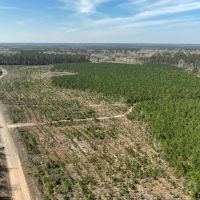 59 acres T-15 Spurger Pines North images 2