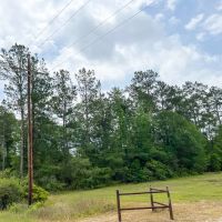 Seller Financing 29 Acres Old Arco Road A-10 Silsbee Stake images 3
