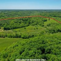 Fairview Rd - 92 acres - Hocking County images 2