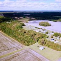 20.5 acres of Hunting Land For Sale in Southampton County VA images 3