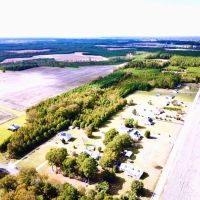 20.5 acres of Hunting Land For Sale in Southampton County VA images 4