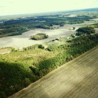 20.5 acres of Hunting Land For Sale in Southampton County VA images 5