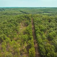 Elk Creek Acres-Tract 2 images 3