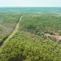 Elk Creek Acres-Tract 2 images 5