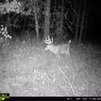 Farm for Sale in Crawford County Wisconsin images 5